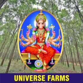 Universe Farms